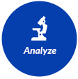 Analyze