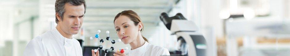 banner2